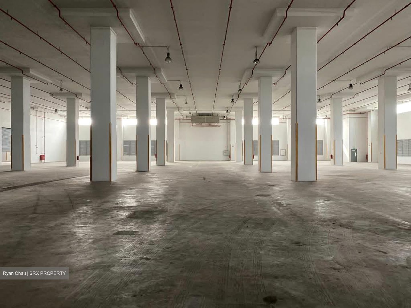 Expo Drive (D16), Warehouse #568721181